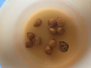 seeds soaking in water